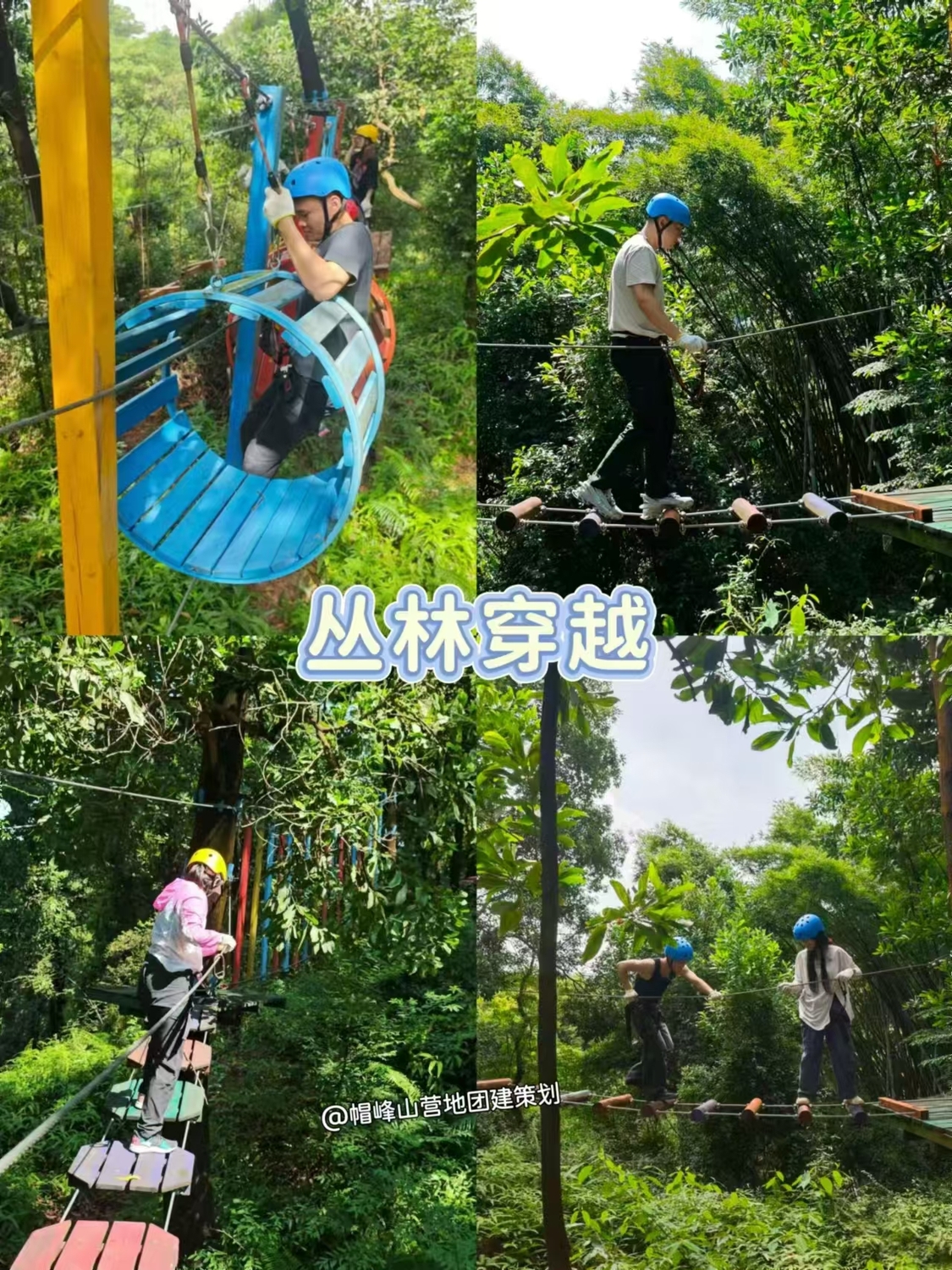 微信图片_20260113160022_49_500.jpg