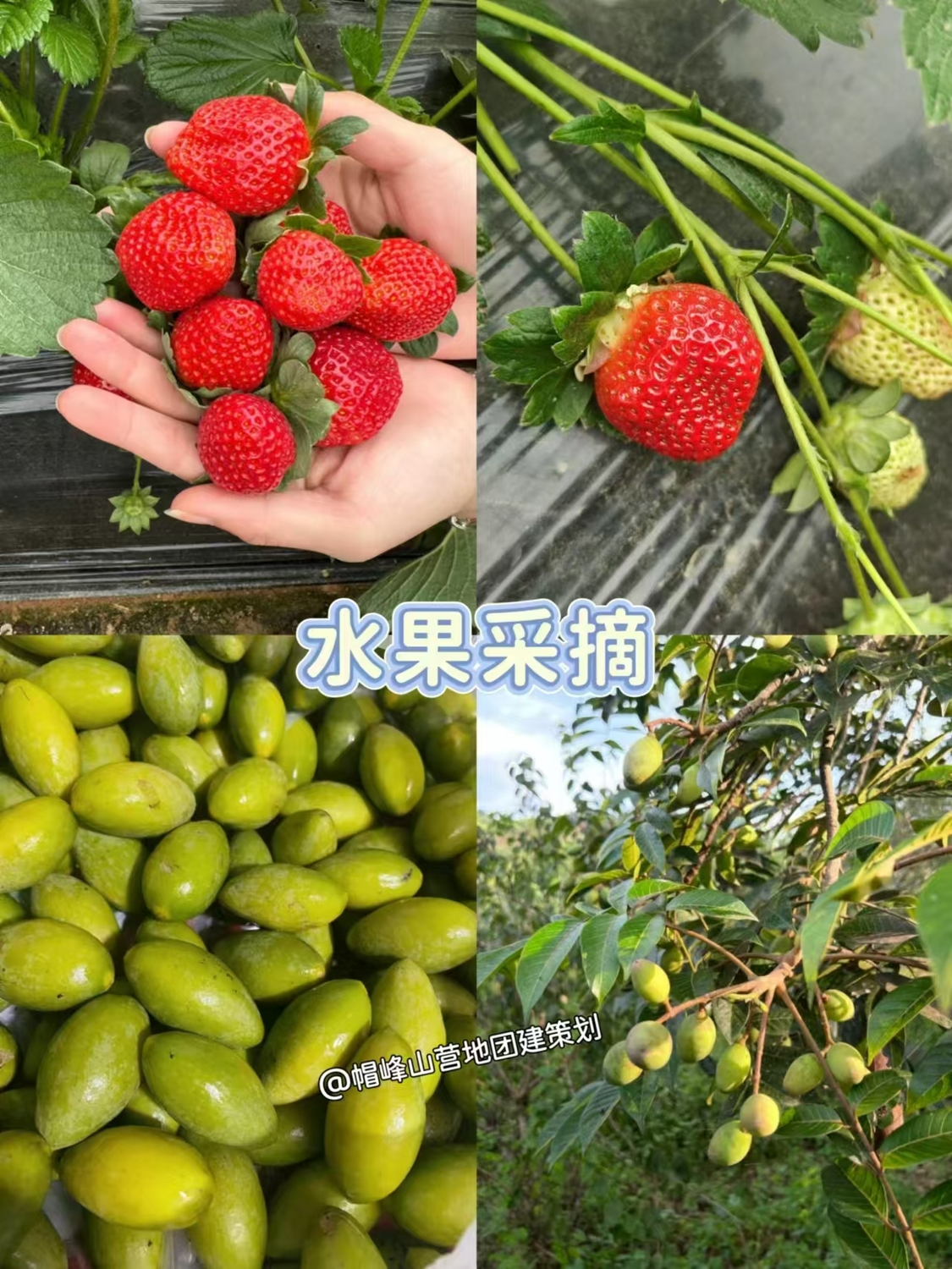 微信图片_20260113160013_43_500.jpg