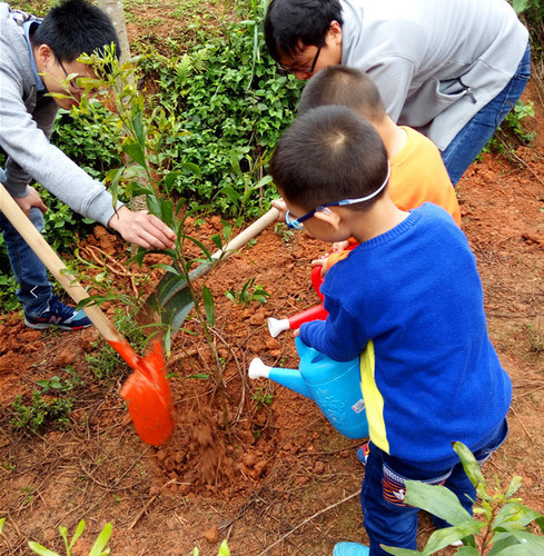植树